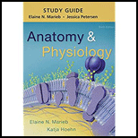 Anatomy and Physiology - Study Guide - 6th Edition - by Marieb - ISBN 9780134388038