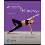 Fundamentals of Anatomy & Physiology (11th Edition) - 11th Edition - by Frederic H. Martini, Judi L. Nath, Edwin F. Bartholomew - ISBN 9780134396026