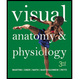 Visual Anatomy & Physiology Plus Mastering A&P withPearson eText -- Access Card Package (3rd Edition) (New A&P Titles by Ric Martini and Judi Nath) - 3rd Edition - by Frederic H. Martini, William C. Ober, Judi L. Nath, Edwin F. Bartholomew, Kevin F. Petti - ISBN 9780134396408