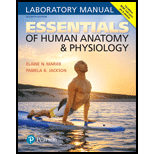 Essentials of Human Anatomy & Physiology Laboratory Manual (7th Edition) - 7th Edition - by Elaine N. Marieb, Pamela B. Jackson - ISBN 9780134424835