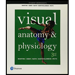Student Worksheets For Visual Anatomy & Physiology - 3rd Edition - by Martini, Frederic H., Ober, William C., Nath, Judi L., Bartholomew, Edwin F., Petti, Kevin - ISBN 9780134486499
