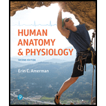 Human Anatomy & Physiology (2nd Edition) - 2nd Edition - by Erin C. Amerman - ISBN 9780134553511