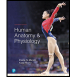 Human Anatomy & Physiology (11th Edition) - 11th Edition - by Elaine N. Marieb, Katja N. Hoehn - ISBN 9780134580999