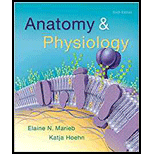 ANATOMY+PHYSIOLOGY-PACKAGE - 6th Edition - by Marieb - ISBN 9780134583624