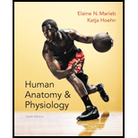 HUMAN ANAT.+PHYS-W/MOD.MAST+LAB MAN. - 10th Edition - by Marieb - ISBN 9780134620923