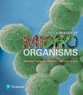 Brock Biology of Microorganisms - 15th Edition - by MADIGAN - ISBN 9780134626352