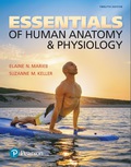 EBK ESSEN.OF HUMAN ANATOMY+PHYSIOLOGY - 12th Edition - by Marieb - ISBN 9780134652634