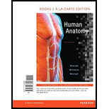 HUMAN ANATOMY(LL)-W/LAB MANUAL+ACCESS - 8th Edition - by Marieb - ISBN 9780134669526