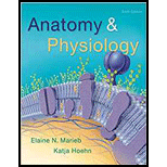 ANATOMY & PHYSIOLOGY - 6th Edition - by MARIEB & HOEIN - ISBN 9780134712437