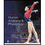 Human Anatomy & Physiology Plus Mastering A&P with Pearson eText -- Access Card Package (11th Edition) (What's New in Anatomy & Physiology) - 11th Edition - by Elaine N. Marieb, Katja Hoehn - ISBN 9780134756363