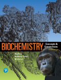 Biochemistry: Concepts and Connections (2nd Edition)