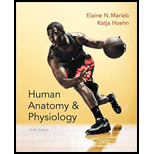 HUMAN ANAT.+PHYSIOLOGY (COMP.)-PACKAGE - 10th Edition - by Marieb - ISBN 9780134774077