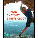 EP HUMAN ANATOMY+PHYSIOLOGY-MOD.MASTER. - 2nd Edition - by AMERMAN - ISBN 9780134788067