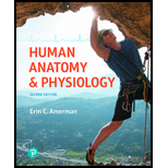 EP HUMAN ANATOMY+PHYSIOLOGY-MOD.MASTER.