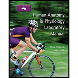 EBK HUMAN ANATOMY & PHYSIOLOGY LABORATO - 13th Edition - by SMITH - ISBN 9780134815619