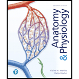 Anatomy & Physiology - 7th Edition - by Marieb,  Elaine Nicpon, Hoehn,  Katja - ISBN 9780135168042