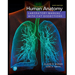 EBK HUMAN ANATOMY LABORATORY MANUAL WIT - 9th Edition - by SMITH - ISBN 9780135202111