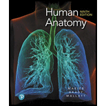 EBK HUMAN ANATOMY                       - 9th Edition - by Marieb - ISBN 9780135241752