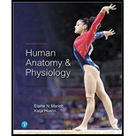 HUMAN ANATOMY+PHYSIOLOGY-PKG. - 11th Edition - by Marieb - ISBN 9780135294819