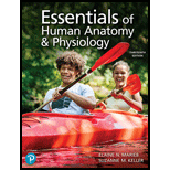 ESSENTIALS OF HUMAN ANAT.+PHYS LL - 13th Edition - by Marieb - ISBN 9780135624203