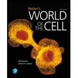 EBK BECKER'S WORLD OF THE CELL (SUBSCRI - 10th Edition - by Hardin - ISBN 9780135832318