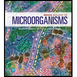 Pearson eText for Brock Biology of Microorganisms -- Instant Access (Pearson+) - 16th Edition - by Michael Madigan,  Kelly Bender - ISBN 9780135860717
