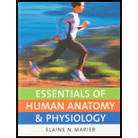 Essentials of Human Anatomy &amp; Physiology - 9th Edition - by Elaine Nicpon Marieb - ISBN 9780136001652