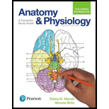 Pearson eText for Anatomy and Physiology Coloring Workbook -- Instant Access (Pearson+) - 12th Edition - by Elaine Marieb,  Simone Brito - ISBN 9780137561377
