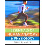 Essentials of Human Anatomy &amp; Physiology - 9th Edition - by Elaine N. Marieb - ISBN 9780321513533