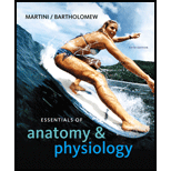 ESSEN.OF ANATOMY+PHYSIOLOGY-W/CD        - 5th Edition - by Martini - ISBN 9780321575548