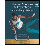 HUMAN ANAT.+PHYS.LAB.MAN.,CAT-W/CD - 10th Edition - by Marieb - ISBN 9780321616128