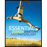 Essentials of Human Anatomy and Physiology - 10th Edition - by Elaine N. Marieb - ISBN 9780321695987