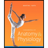 Fundamentals of Anatomy & Physiology - 9th Edition - 9th Edition - by Martini, Frederic, Nath, Judi L., Bartholomew, Edwin F. - ISBN 9780321709332