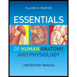 Essentials of Human Anatomy & Physiology Laboratory Manual - 5th Edition - 5th Edition - by Marieb, Elaine Nicpon - ISBN 9780321750013