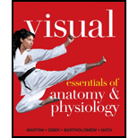 Visual Essentials of Anatomy &amp;Physiology - 1st Edition - by Martini, Frederic - ISBN 9780321780775