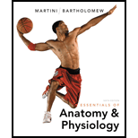 Essentials of Anatomy & Physiology, 6/e - 6th Edition - by Frederic H. Martini, Edwin F. Bartholomew - ISBN 9780321787453