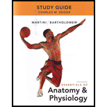 Essentials of Anatomy &amp; Physiology - 6th Edition - by Seiger, Charles M. - ISBN 9780321792211