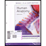 Human Anatomy - 7th Edition - by Elaine Nicpon Marieb - ISBN 9780321832535