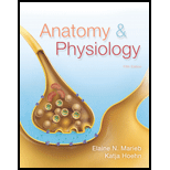 Anatomy & Physiology - 5th Edition - by Marieb, Elaine N. - ISBN 9780321861580