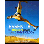 Essentials Of Human Anatomy & Physiology Laboratory Manual, Essentials Of Human Anatomy & Physiology Plus Masteringa&p With Etext Package, And Get Ready - 1st Edition - by Elaine N. Marieb - ISBN 9780321877369