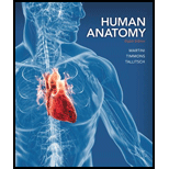 Human Anatomy (8th Edition) - Standalone book - 8th Edition - by Frederic H. Martini, Robert B. Tallitsch - ISBN 9780321883322