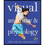 Visual Anatomy & Physiology (2nd Edition) - 2nd Edition - by Frederic H. Martini, William C. Ober, Judi L. Nath, Edwin F. Bartholomew, Kevin F. Petti - ISBN 9780321918949