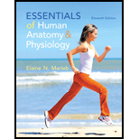 Essentials of Human Anatomy & Physiology (11th Edition) - 11th Edition - by Elaine N. Marieb - ISBN 9780321919007