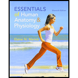 Essentials of Human Anatomy.. -Modified Access - 11th Edition - by Marieb - ISBN 9780321958464