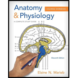 Anatomy & Physiology Coloring Workbook: A Complete Study Guide - 11th Edition - by Elaine N. Marieb - ISBN 9780321960771