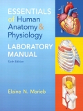 EBK ESSENTIALS OF HUMAN ANATOMY & PHYSI - 6th Edition - by Marieb - ISBN 9780321961792