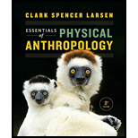 Essentials of Physical Anthropology (Third Edition) - 3rd Edition - by Clark Spencer Larsen - ISBN 9780393612264