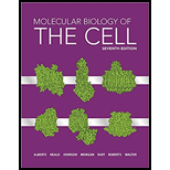 MOLECULAR BIOLOGY OF CELL - 7th Edition - by ALBERTS - ISBN 9780393680959