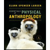 Essentials of Physical Anthropology (Third Edition)