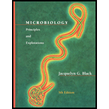 Microbiology: Principles And Explorations - 5th Edition - by Jacquelyn G. Black - ISBN 9780471387299